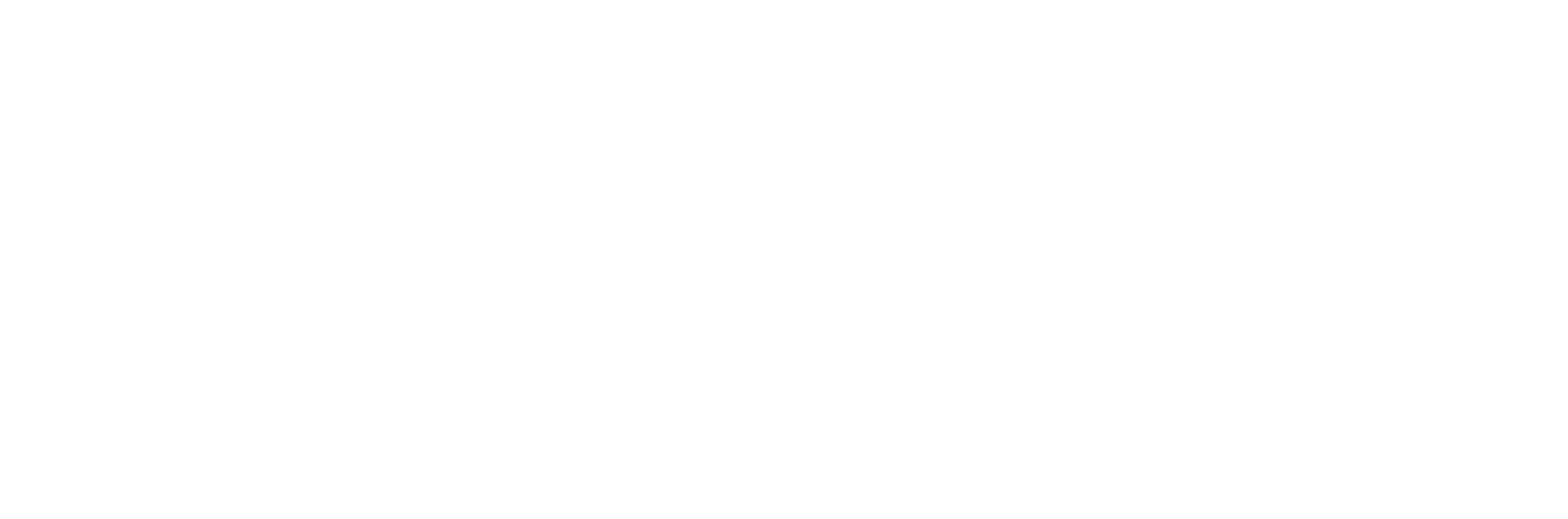 Niederwieser Group Logo
